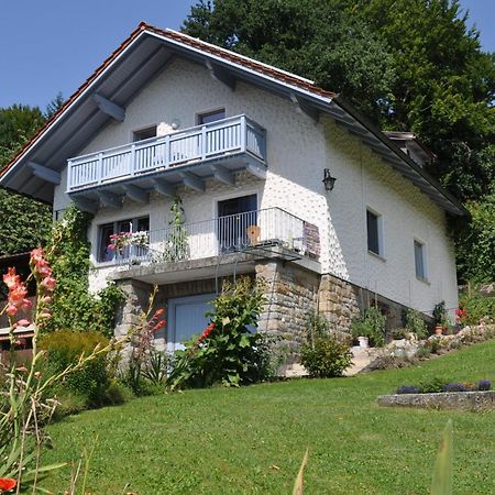Ferienwohnung Regentalblick Miltach Dış mekan fotoğraf