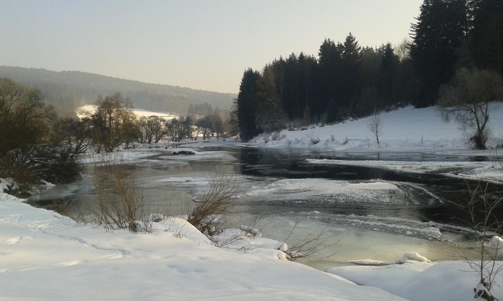 Ferienwohnung Regentalblick Miltach Dış mekan fotoğraf