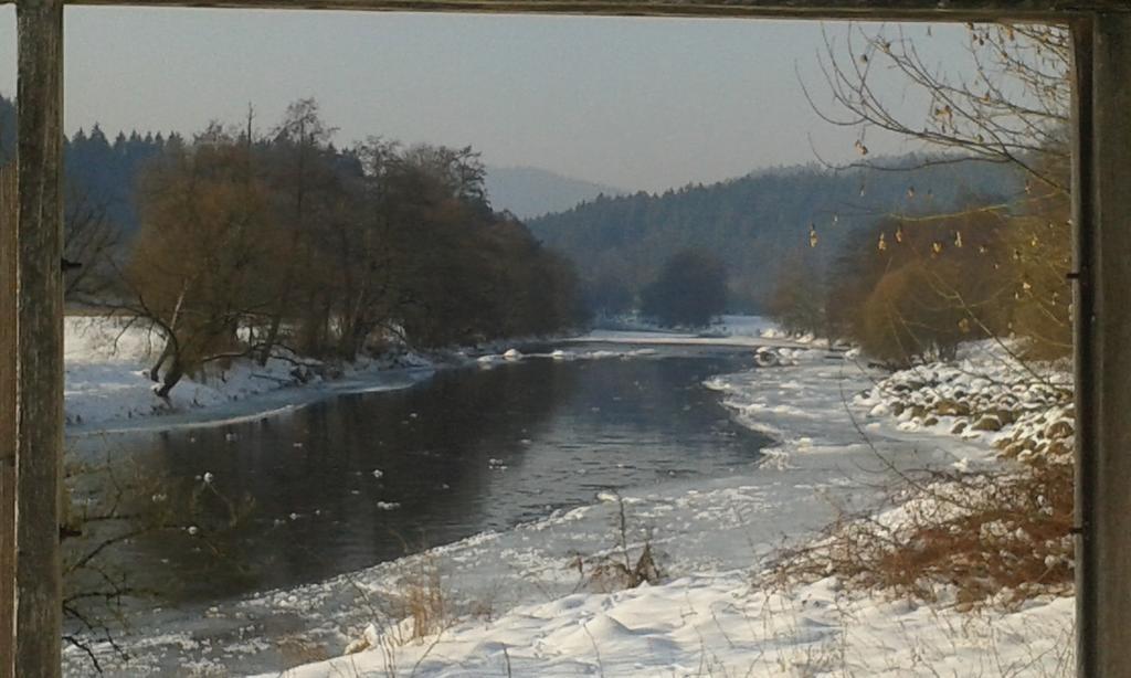 Ferienwohnung Regentalblick Miltach Dış mekan fotoğraf