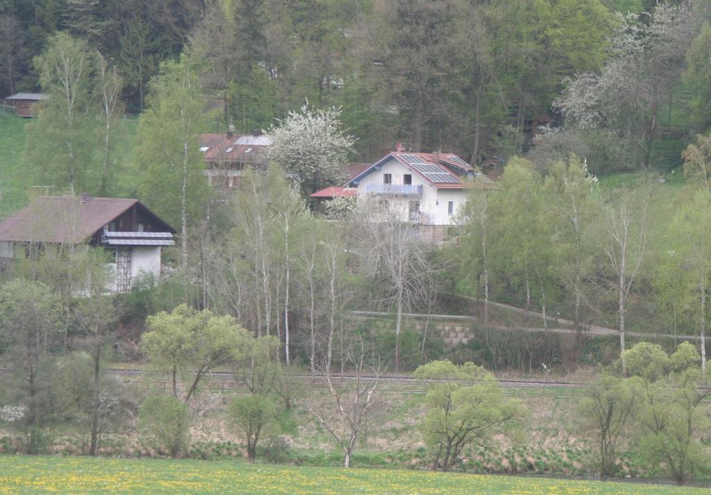 Ferienwohnung Regentalblick Miltach Dış mekan fotoğraf