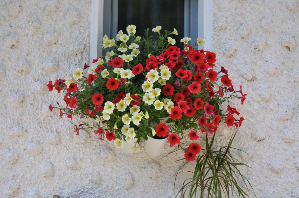 Ferienwohnung Regentalblick Miltach Dış mekan fotoğraf